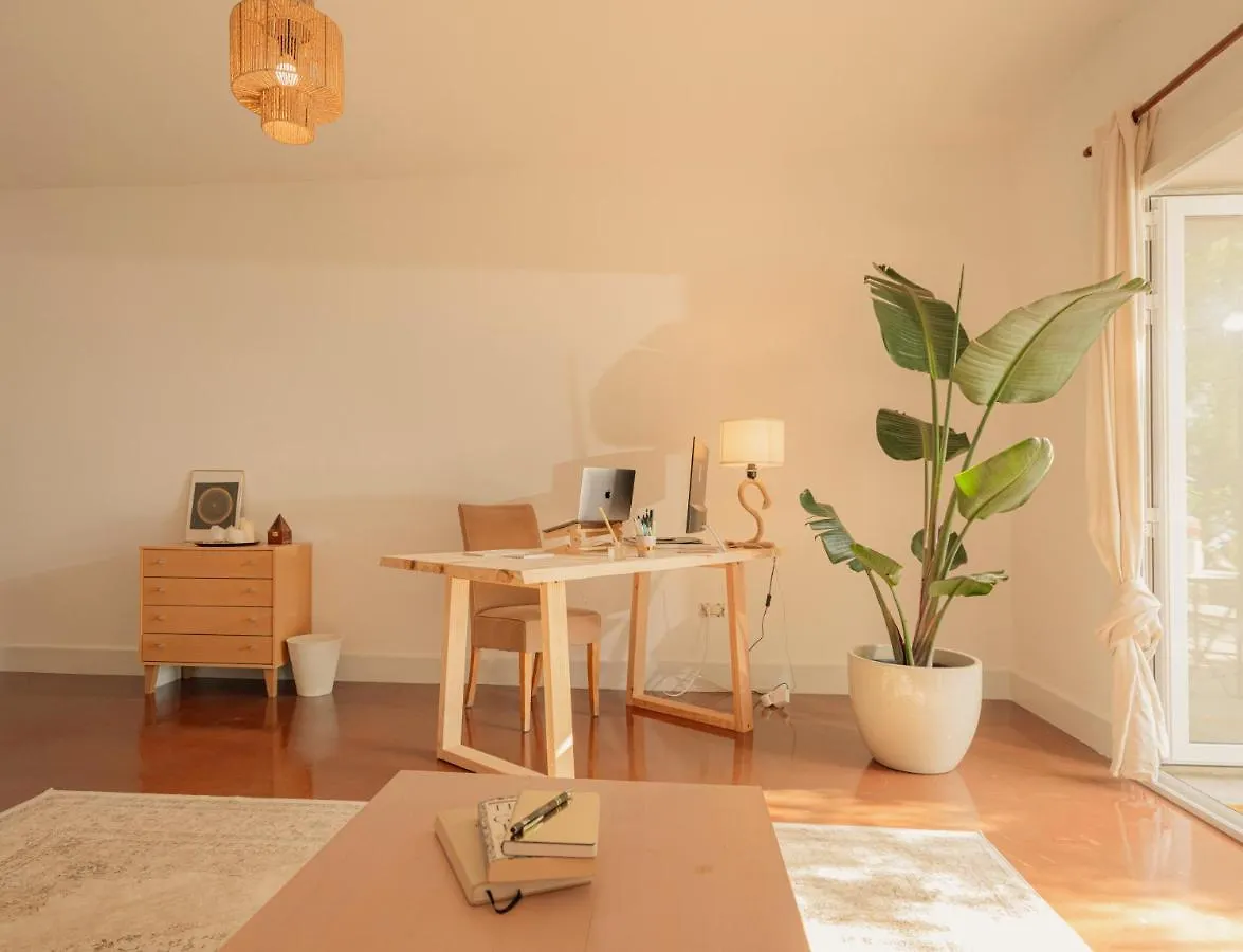 Apartment Canaan In Tenerife - Heated Pool, Ocean Views, Palm Garden, Villa Costa Adeje  Spain