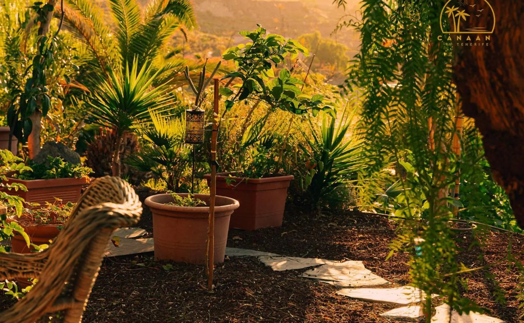 Canaan In Tenerife - Heated Pool, Ocean Views, Palm Garden, Villa Costa Adeje  Apartment
